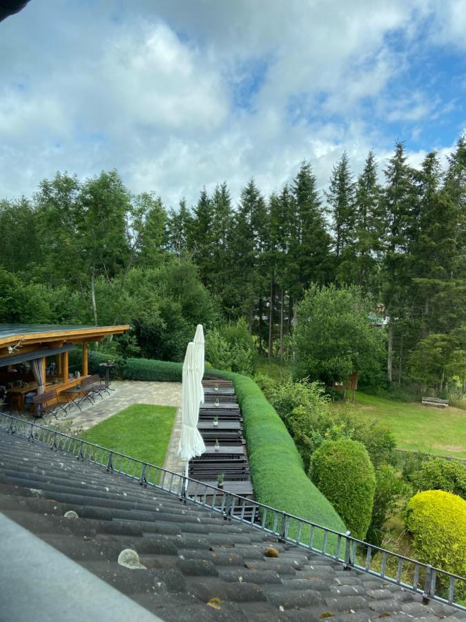 Haus Petra Hotel Stadtkyll Kültér fotó